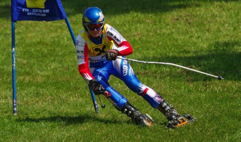 grass skiing image